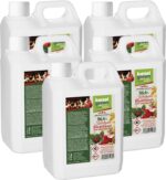 KieselGreen 25 liter bio-etanol karácsonyi aromával